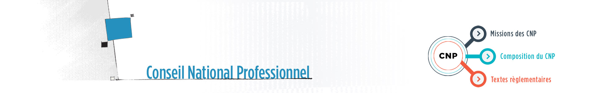 Conseil National Professionnel