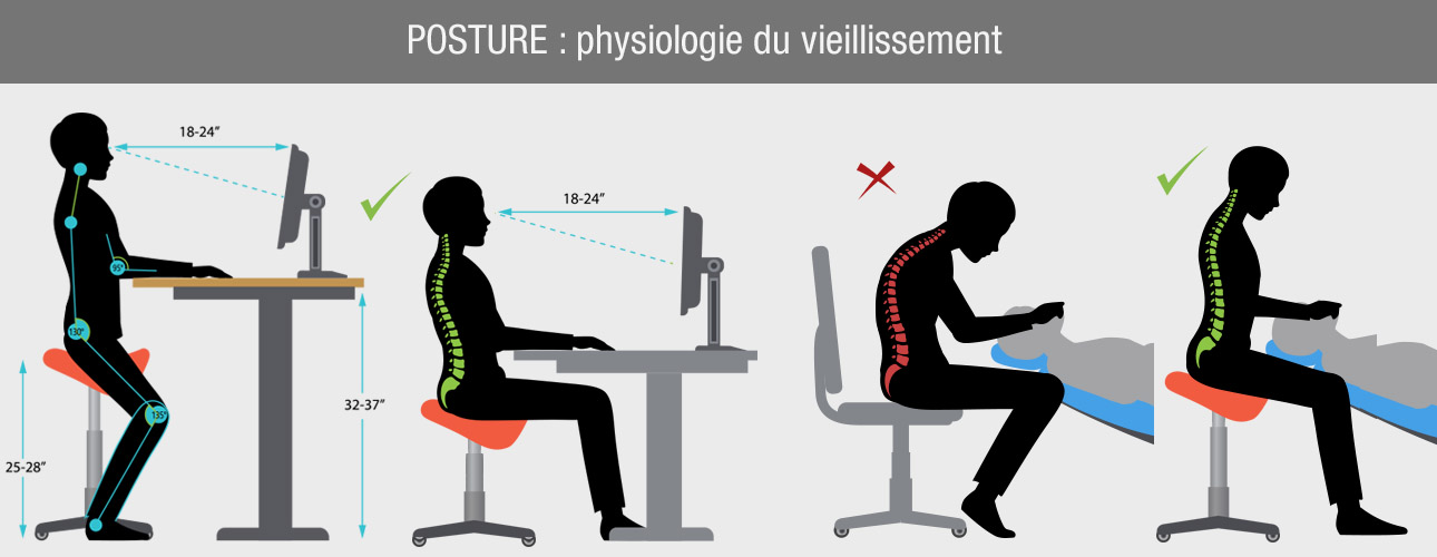 posture du dos anti vieillissement cervicalgie