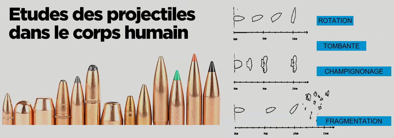 études des projectiles dans le corps humain