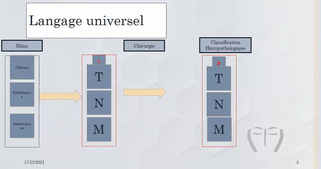 langage universel Classification TNM en carcinologie cervico-faciale