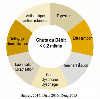 irradiation, xeostomie, glandes salivaires