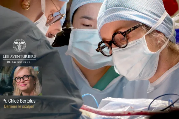 Chloe bertolus maxillofacial